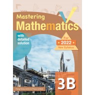 Mastering Mathematics 3B