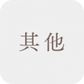 其他科目